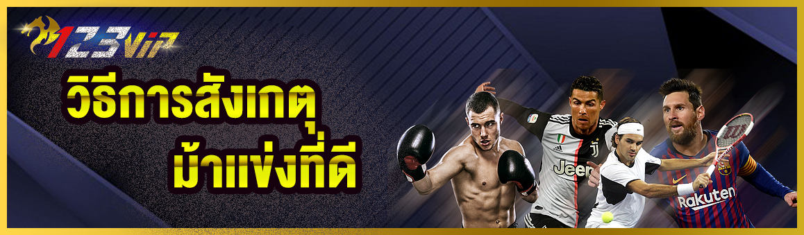 วิธีการสังเกตุ ม้าเเข่งที่ดี