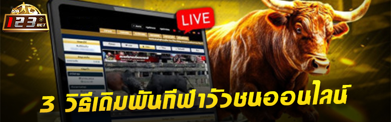 3 วิธีเดิมพันกีฬาวัวชนออนไลน์