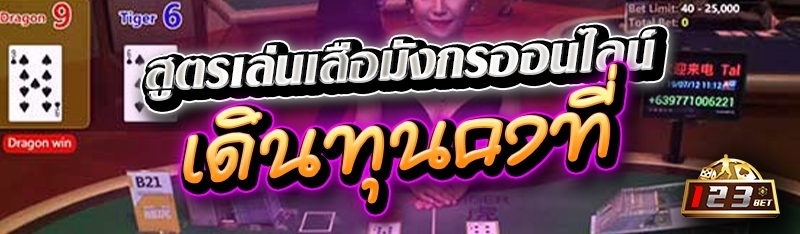 สูตรเล่นเสือมังกรออนไลน์ เดินทุนคงที่ 